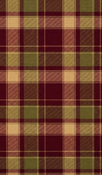 Maroon & Olive Checkered Short Kurti